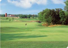 Putting Green